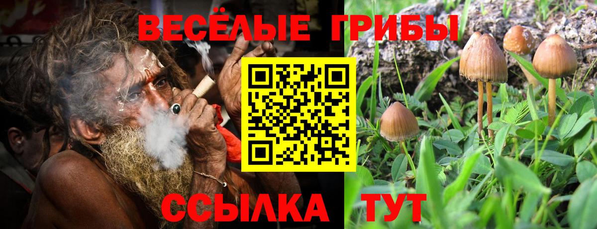 Галлюциногенные грибы MAGIC MUSHROOMS Воткинск