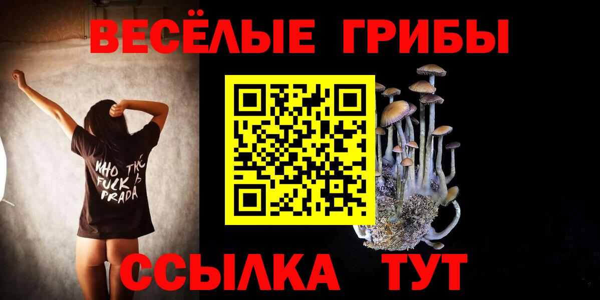 купить наркоту  Псилоцибиновые грибы Magic Shrooms  Вход с VPN  Воткинск 